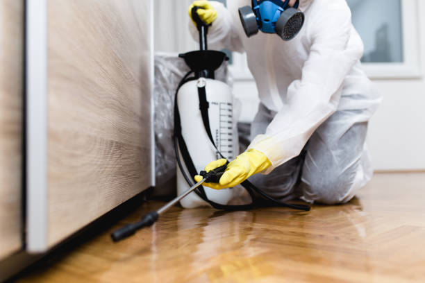 Best Emergency Pest Control  in Murray, UT