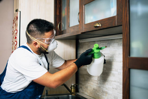 Best Rat Extermination Near Me  in Murray, UT