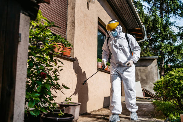 Best Pest Removal Services  in Murray, UT