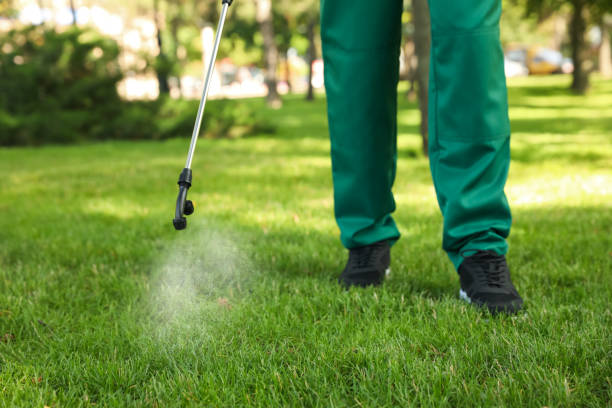 Best Bed Bug Extermination  in Murray, UT