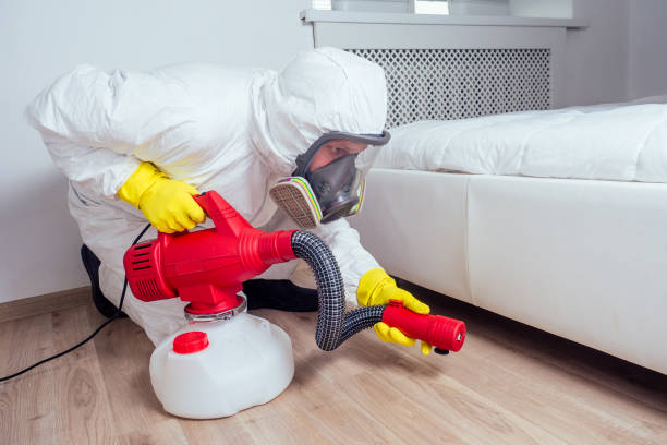 Best Local Pest Control Services  in Murray, UT