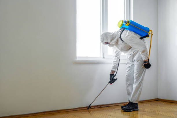 Best Pest Prevention Services  in Murray, UT