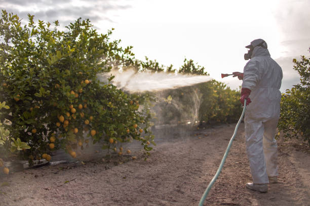 Reliable Murray, UT Pest Control Solutions