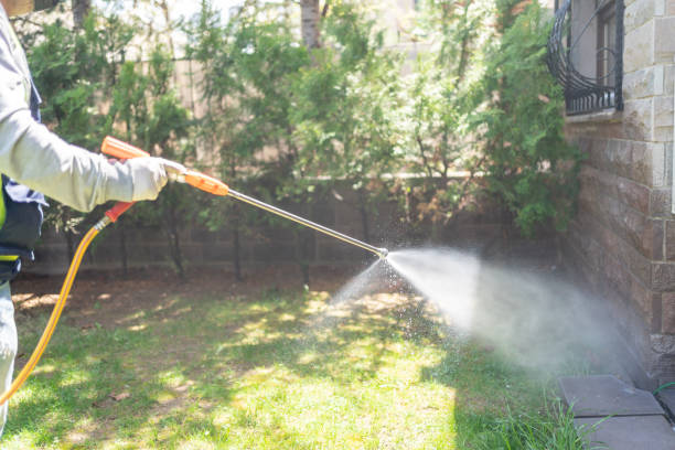 Pest Prevention Services in Murray, UT