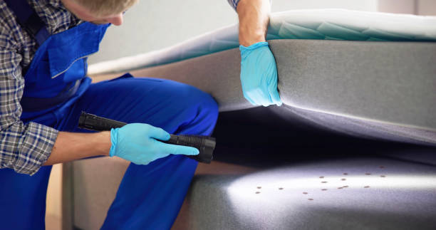 Best Wasp Removal Services  in Murray, UT