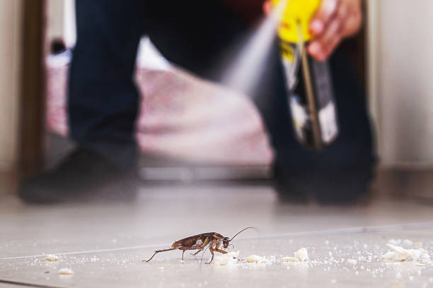 Best Cockroach Control Services  in Murray, UT