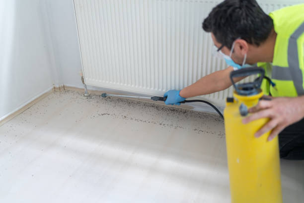 Best Ant Control Services  in Murray, UT
