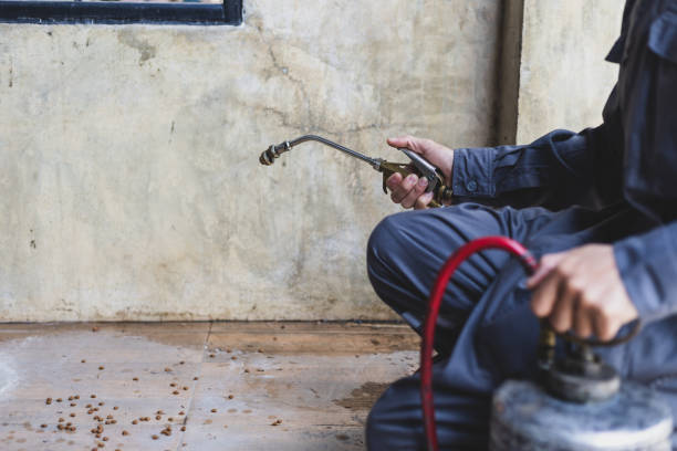 Best Termite Control Services  in Murray, UT